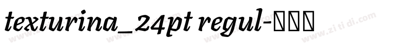 texturina_24pt regul字体转换 texturina_24pt regul字体转换